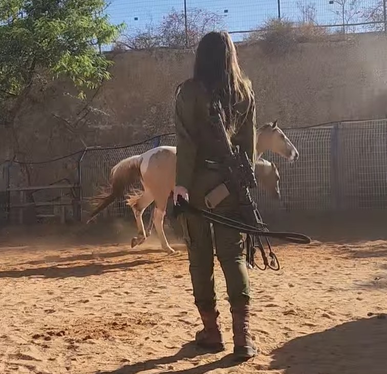 Farm. Frontline. Healing. Our Soldiers' Stories with Horses